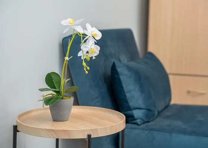 Frank's Place - Private Parking Hébergement de vacances *